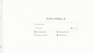 [Perplexity AI] 검색의 새로운 패러다임을 만들어내다